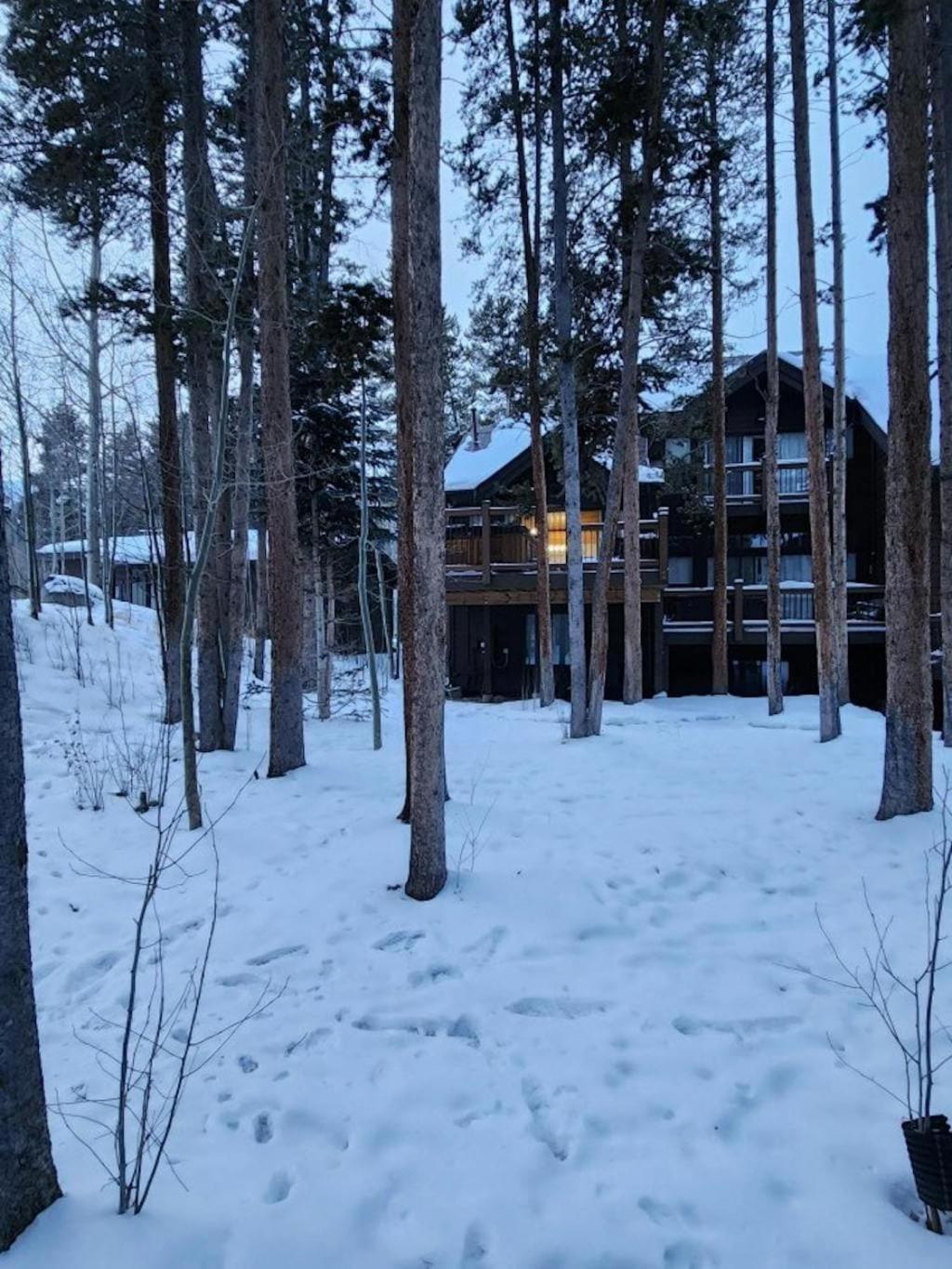 Luxury Modern Townhome Steps To Ski Lifts And Downtown With Nature At Your Patio Breckenridge Exteriör bild