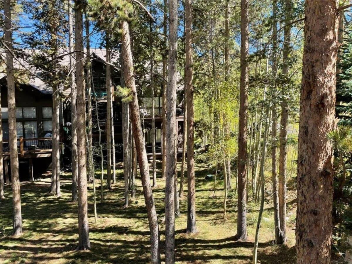 Luxury Modern Townhome Steps To Ski Lifts And Downtown With Nature At Your Patio Breckenridge Exteriör bild